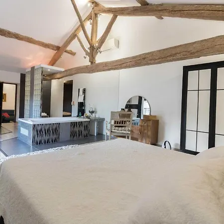 Bed & Breakfast La Baronne Buzet-sur-Tarn